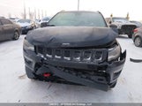 Jeep New Compass Trailhawk 3C4NJDDB9HT688133 снимка