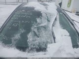 Toyota Corolla Le 2T1BURHE9JC008834 снимка