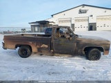 Chevrolet C10 2GCEC14N1G1219766 снимка