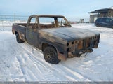 Chevrolet C10 2GCEC14N1G1219766 снимка