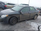Toyota Corolla Le 2T1BU4EE9AC398485 снимка
