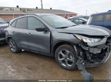 Ford Escape 1FMCU9MN6SUA13449 fotografie