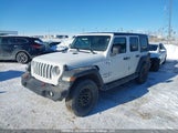Jeep Wrangler Unlimited Sport 1C4HJXDN5KW649999 снимка