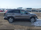 Honda Cr-V Ex 5J6RE4H58AL803908 снимка