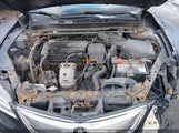 Acura Tlx 19UUB1F3XGA800152 снимка