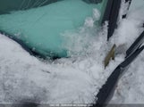 Chevrolet Silverado K1500 Lt 1GCSKSEAXAZ297811 снимка