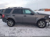 Ford Escape Xlt 1FMCU9DG0CKB46206 fotografie