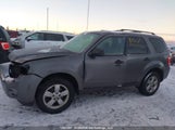 Ford Escape Xlt 1FMCU9DG0CKB46206 fotografie
