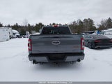 Ford F150 Supercrew 1FTEW1E86PFD04465 fotografie