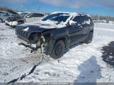 Jeep Cherokee 80Th Anniversary Edition 1C4PJMCX9MD117828 снимка