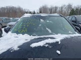 Toyota Rav4 2T3BWRFV3PW162726 снимка