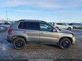 Volkswagen Tiguan Comfortline/Highline/Special Edition WVGJV7AX9GW048030 снимка