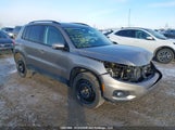 Volkswagen Tiguan Comfortline/Highline/Special Edition WVGJV7AX9GW048030 photo