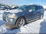 Mercedes-Benz Gl 350 Bluetec 4JGBF2FE5AA620632 снимка