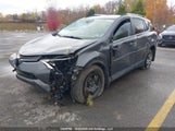 Toyota Rav4 Le 2T3BFREV1GW410165 снимка