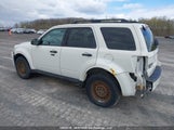 Ford Escape Xlt 1FMCU0D70CKB59162 fotografie