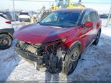 Nissan Rogue Platinum JN8AT3DDXMW310383 photo