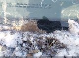 Ford Transit Connect Xlt NM0LS7BNXBT066773 снимка