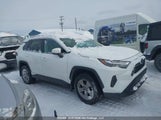 TOYOTA RAV4 XLE/WOODLAND EDITION 2T3RWRFV1PW****** снимка