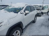 TOYOTA RAV4 XLE/WOODLAND EDITION 2T3RWRFV1PW****** снимка