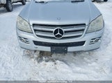 Mercedes-Benz Gl 320 Cdi 4JGBF22E78A420710 снимка