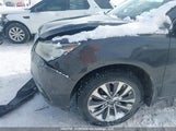 Acura Mdx Technology Package 5FRYD4H65FB504883 photo
