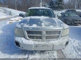 Dodge Dakota 1D7HW38K38S532311 снимка