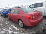 Toyota Corolla Ce 2T1BU4EE7AC388263 fotografie
