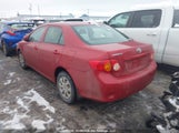 Toyota Corolla Ce 2T1BU4EE7AC388263 fotografie