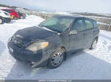 Toyota Corolla Matrix Xr 2T1KR32E37C671719 снимка