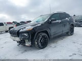 Jeep Cherokee Limited 1C4PJMDS9HW654017 снимка