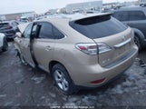 Lexus Rx 350 2T2BK1BAXAC046470 fotografie
