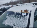 Kia Sorento 5XYKT3A62EG479267 снимка