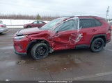 Toyota Rav4 Xle/Xle Premium 2T3R1RFV3RW439097 fotografie