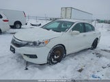 Honda Accord Ex 1HGCR2F73HA800642 снимка