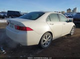 Acura Tsx JH4CL96874C804546 снимка