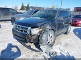 Ford Escape Limited 1FMCU9EG3BKC44059 photo