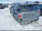 Hyundai Palisade Luxury 8-Passenger Seating KM8R3DHE5LU060810 fotografie