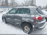 Volkswagen Tiguan Comfortline/Highline/Trendline WVGJV3AXXEW554228 photo
