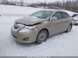 Toyota Corolla 2T1BU4EE1AC355453 снимка