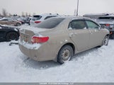 Toyota Corolla 2T1BU4EE1AC355453 photo