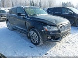Audi Q5 WA1LFCFP7DA045688 photo