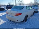 Toyota Corolla S/Le/Xle 2T1BU4EE8AC345566 снимка