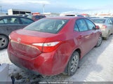 Toyota Corolla Le 2T1BURHE7FC356428 fotografie