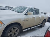 Dodge Ram  Slt/Sport/Trx 1D7RV1GT7AS220908 снимка