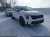 Kia Sorento Ex KNDRGDJG7S5387416 снимка