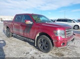 Ford F-150 Fx4 1FTFW1EF1EFC55756 снимка