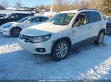 Volkswagen Tiguan Comfortline/Highline/Special Edition WVGJV7AX0GW507137 fotografie