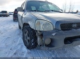 Hyundai Santa Fe Gl KM8SB73D54U749705 снимка