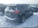 Toyota Rav4 JTMRJREV1JD239418 снимка